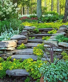 畢業設計 園林設計——傳統與現代的交融